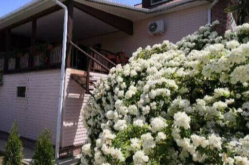 Изображение Изображение гостиницы "Гостевой дом «Ольга»" #6 #6