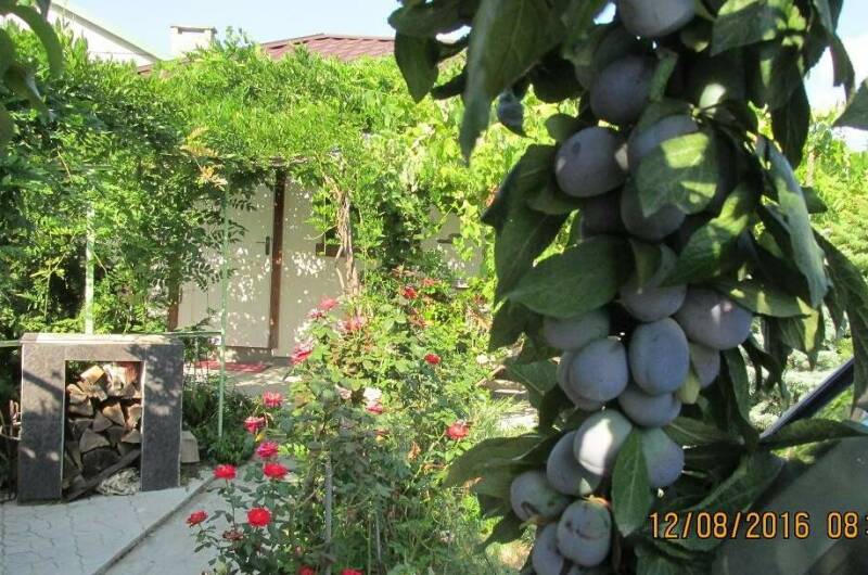 Изображение Изображение квартиры / апартамента "Дом под ключ «Уют для двоих»" #11 #9