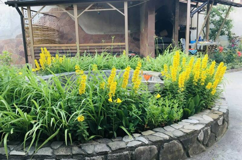 Изображение Изображение гостиницы "Частный сектор «Как на даче»" #2 #2