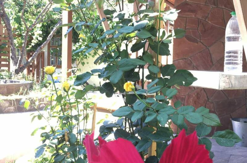 Изображение Изображение гостиницы "Частный сектор «Как на даче»" #7 #7