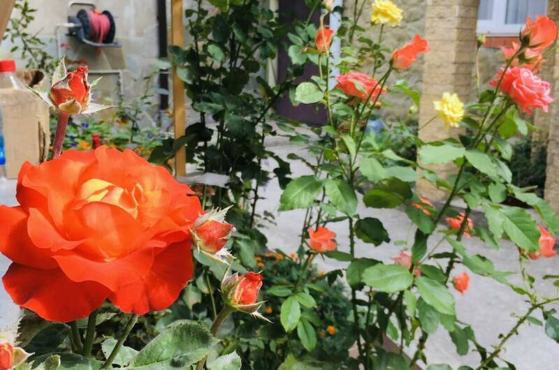 Изображение Изображение гостиницы "Частный сектор «Как на даче»" #8 #8