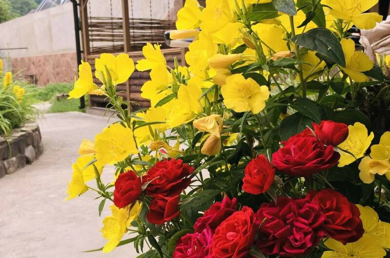 Изображение Изображение отеля / гостиницы "Частный сектор «Как на даче»" #10 #8