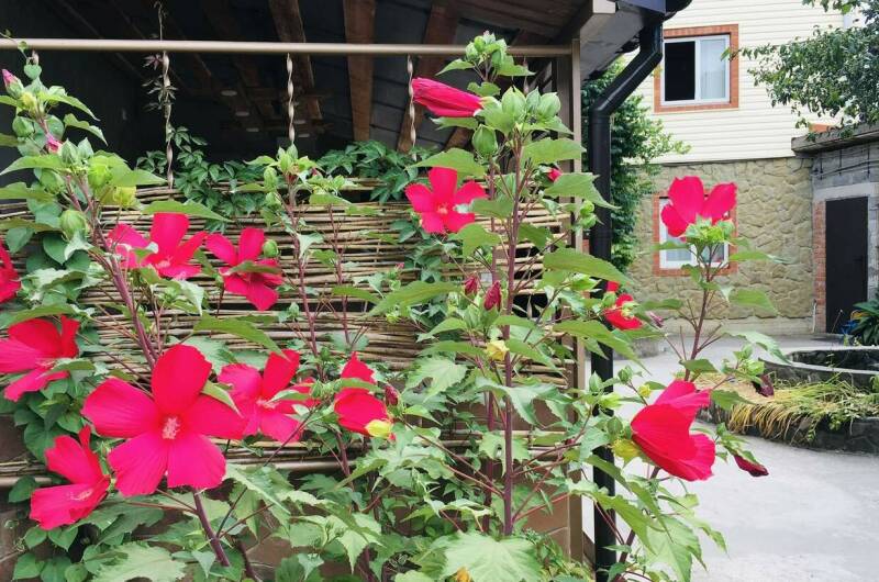 Изображение Изображение отеля / гостиницы "Частный сектор «Как на даче»" #11 #9