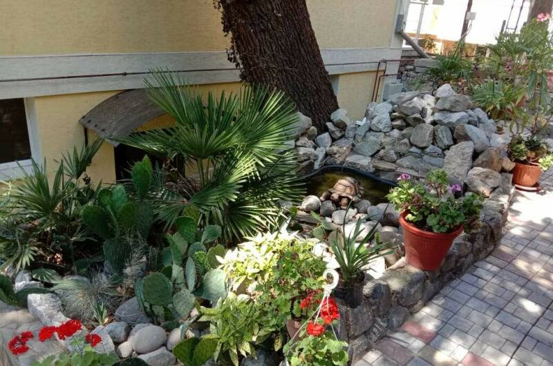 Изображение Изображение гостиницы &quot;Гостевой дом на Руданского&quot; #8 #8