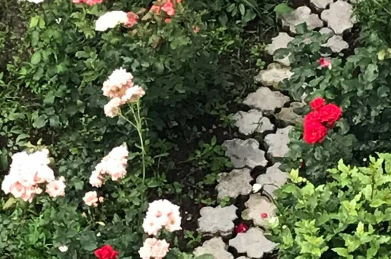 Изображение Изображение отеля / гостиницы "Гостевой дом «Антураж»" #10 #8