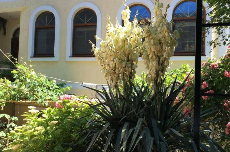 Изображение Изображение отеля / гостиницы "Гостевой дом «Антураж»" #11 #9