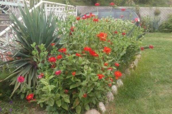 Изображение Изображение отеля / гостиницы "Частный дом Монашенское ущелье 7" #10 #8