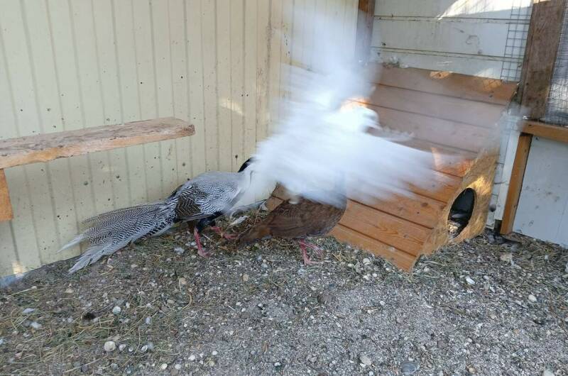 Изображение Изображение квартиры &quot;Студия в частном доме на Октябрьской&quot; #8 #8