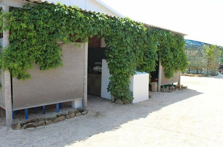 Изображение Изображение гостиницы &quot;Частный сектор «Лесная 33»&quot; #3 #3