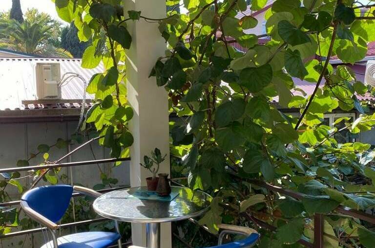 Изображение Изображение гостиницы "Гостевой дом «У Лёвы»" #3 #3