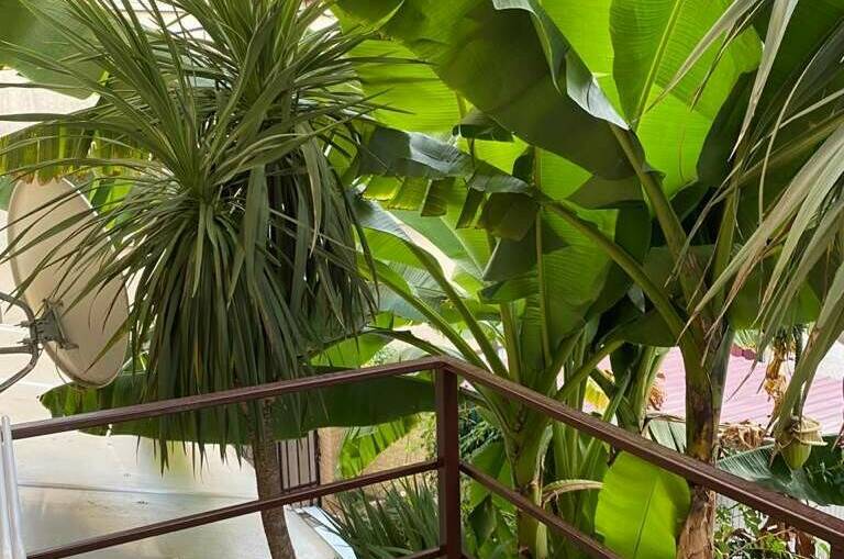 Изображение Изображение отеля / гостиницы "Гостевой дом «У Лёвы»" #11 #9