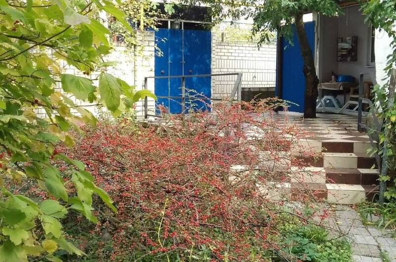 Изображение Изображение гостиницы "Гостевой дом «Тихая гавань»" #2 #2