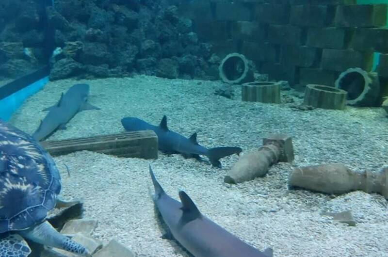 Изображение Изображение отеля / гостиницы "Гостевой Дом «На переулке Морском 8»" #10 #8