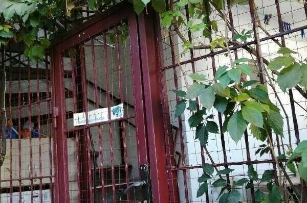 Изображение Изображение гостиницы &quot;Гостевой дом «Hot-Alushta»&quot; #3 #3