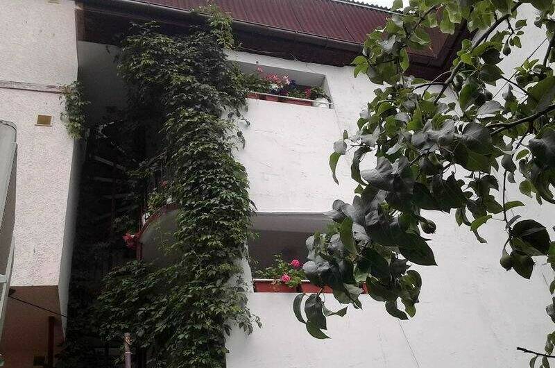 Изображение Изображение гостиницы &quot;Гостевой дом «Hot-Alushta»&quot; #8 #8