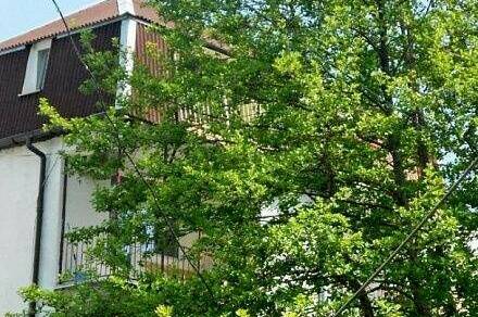 Изображение Изображение отеля / гостиницы "Гостевой дом «Hot-Alushta»" #10 #8