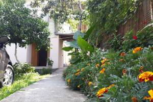 Изображение гостиницы "Гостевой дом «У Риммы»"