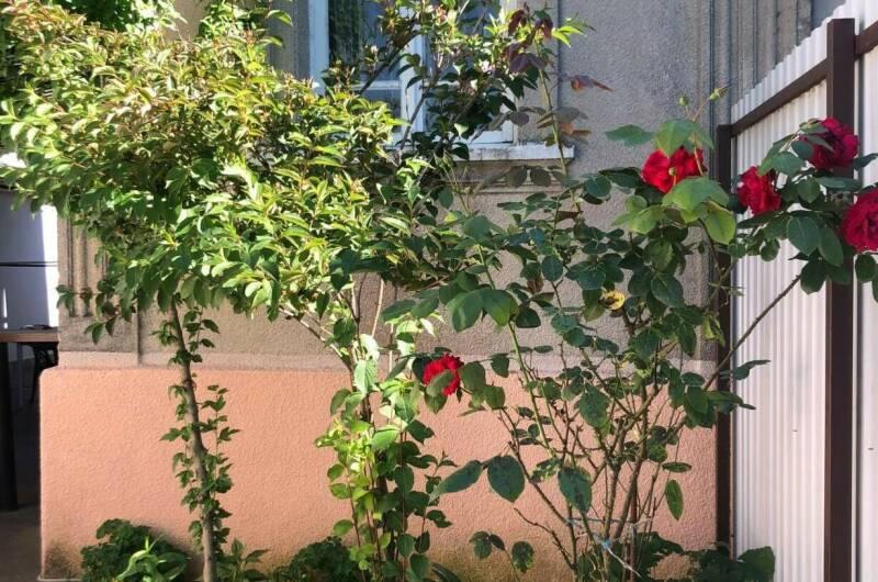 Изображение Изображение гостиницы &quot;Гостевой дом «Вокруг света»&quot; #3 #3