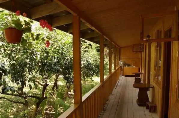 Изображение Изображение гостиницы &quot;Частный сектор «Санчо»&quot; #3 #3