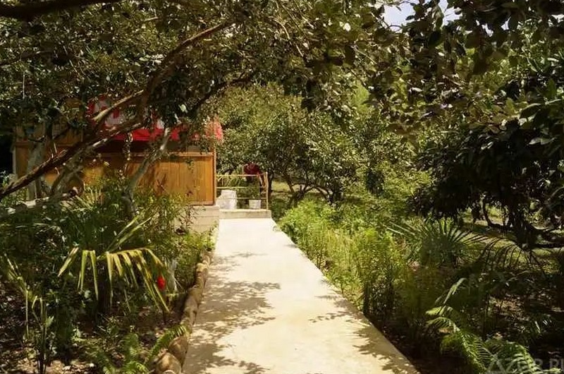 Изображение Изображение гостиницы &quot;Частный сектор «Санчо»&quot; #4 #4