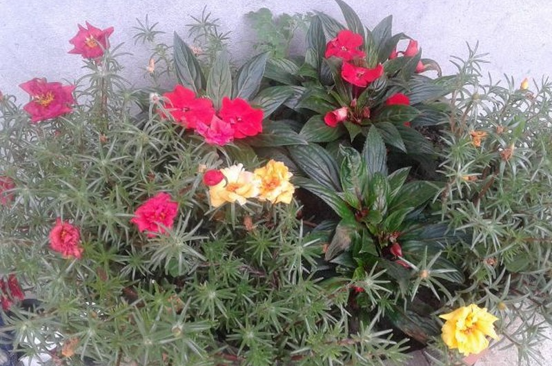 Изображение Изображение гостиницы &quot;Частный сектор «Санчо»&quot; #6 #6