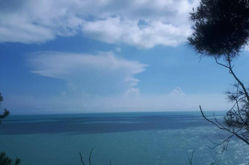 Изображение Изображение отеля / гостиницы "Частный сектор в Монашеском ущелье" #10 #8