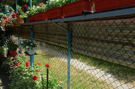 Изображение Изображение гостиницы "Гостевой дом «У Эммы и Ашота»" #3 #3