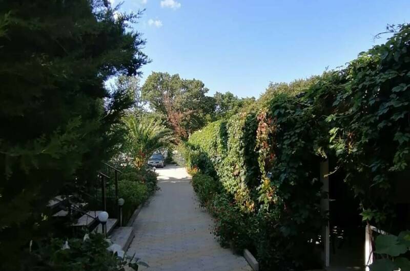 Изображение Изображение гостиницы "Гостевой дом «У Дяди Васи»" #7 #7