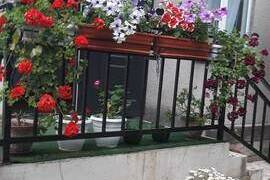 Изображение гостиницы "Гостевой дом «Уютный дворик»"