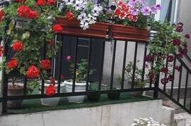 Изображение Изображение гостиницы "Гостевой дом «Уютный дворик»" #1 #1