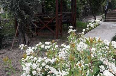 Изображение Изображение гостиницы "Гостевой дом «Уютный дворик»" #6 #6