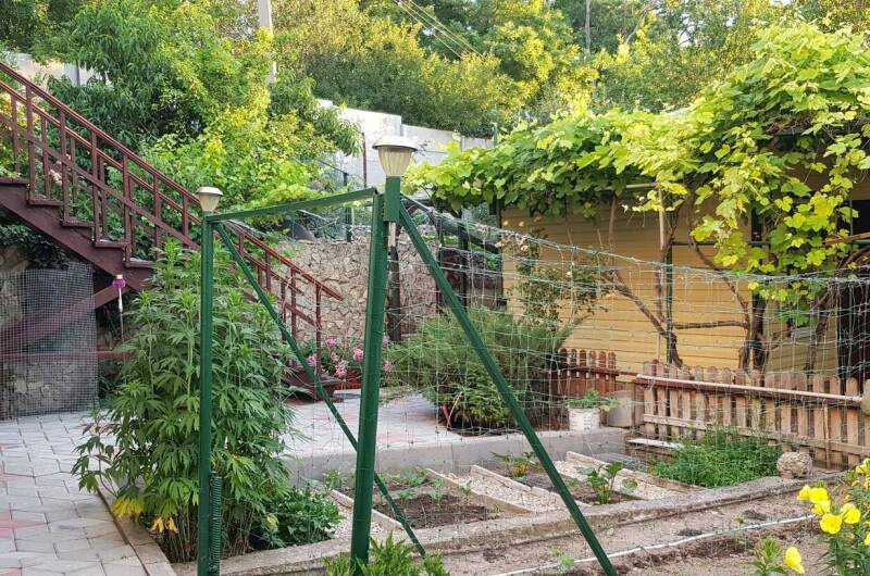 Изображение Изображение гостиницы &quot;Гостевой дом на Сиренной 1&quot; #3 #3