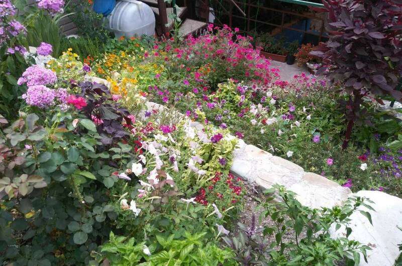 Изображение Изображение гостиницы &quot;Гостевой дом «Гармония у Елены»&quot; #7 #7