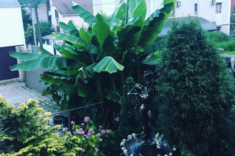 Изображение Изображение гостиницы "Гостевой дом «Мара»" #8 #8