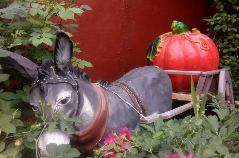 Изображение Изображение гостиницы &quot;Частный дом «В гостях у Шаха»&quot; #6 #6