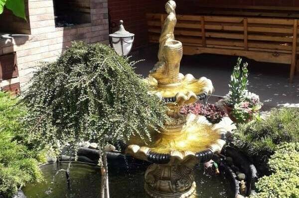 Изображение Изображение гостиницы &quot;Гостевой дом «Лазурный»&quot; #7 #7