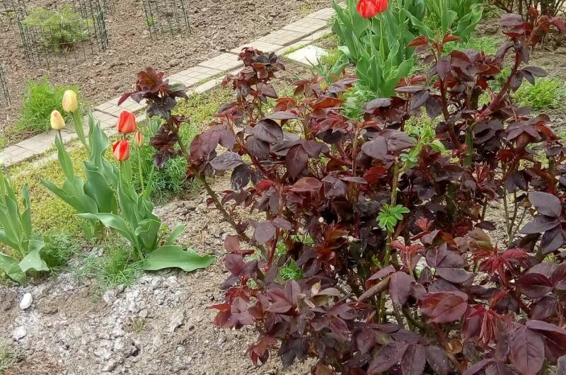 Изображение Изображение квартиры &quot;Дом под ключ на Павлова&quot; #4 #4