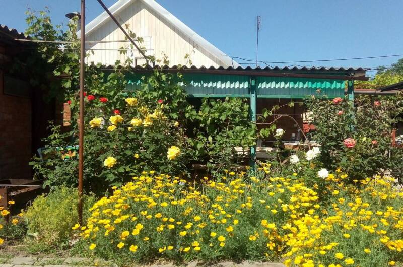 Изображение Изображение квартиры / апартамента "Дом под ключ на Павлова" #10 #8