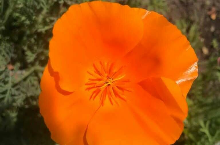 Изображение Изображение гостиницы &quot;Гостевой дом «Marianna»&quot; #7 #7