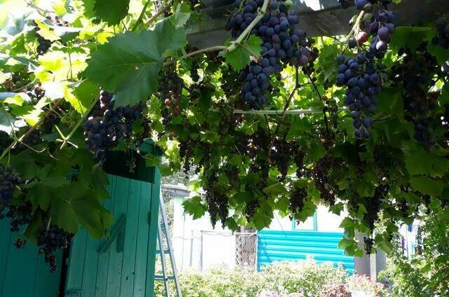 Изображение Изображение квартиры &quot;Дом под ключ&quot; #4 #4