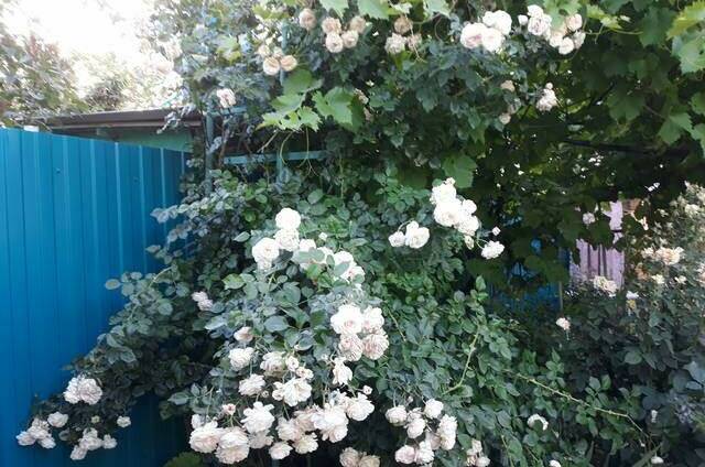 Изображение Изображение квартиры &quot;Дом под ключ&quot; #7 #7