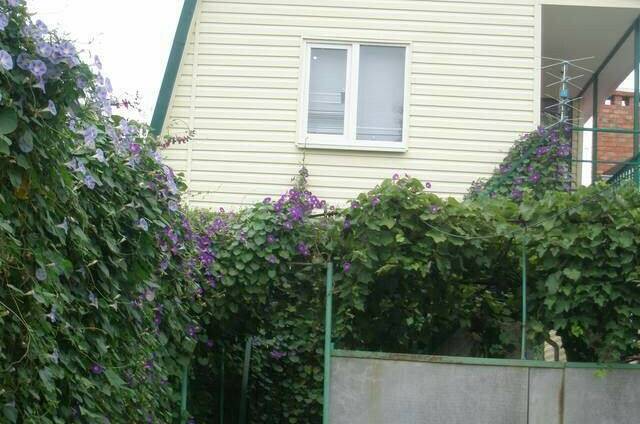 Изображение Изображение квартиры / апартамента "Дом под ключ" #10 #8