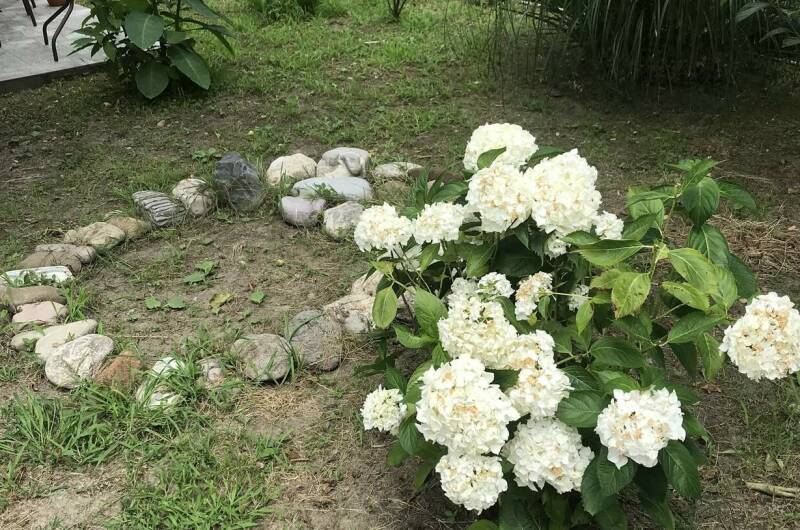 Изображение Изображение гостиницы "Гостевой дом «Ачегу»" #7 #7