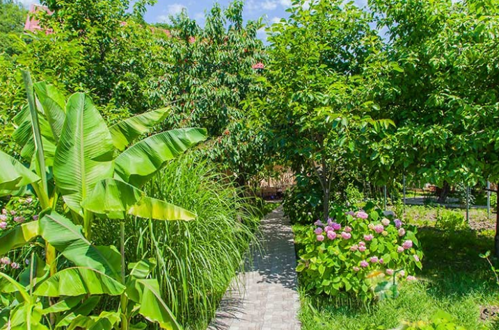 Изображение Изображение отеля / гостиницы "Гостевой дом «Ачегу»" #10 #8