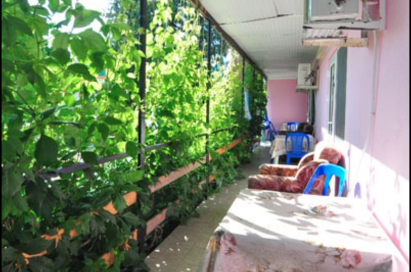 Изображение Изображение гостиницы "Гостевой дом на Новороссийской 149" #3 #3