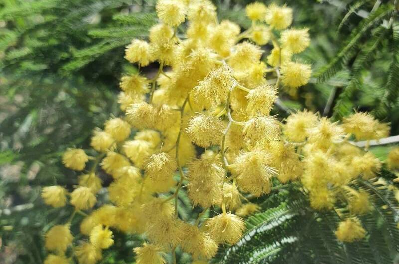 Изображение Изображение квартиры "Квартира-студия «У Жанны»" #8 #8