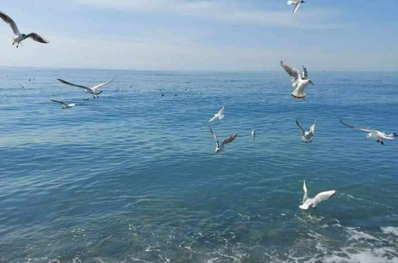 Изображение Изображение квартиры / апартамента "Квартира-студия «У Жанны»" #10 #8