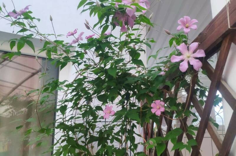 Изображение Изображение гостиницы &quot;Гостевой дом «Мария»&quot; #2 #2