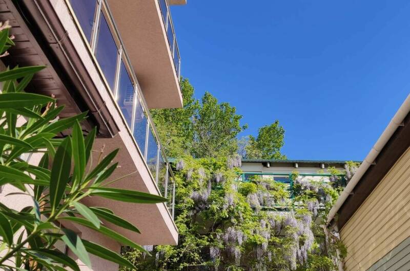 Изображение Изображение гостиницы &quot;Гостевой дом «Алегрия»&quot; #5 #5