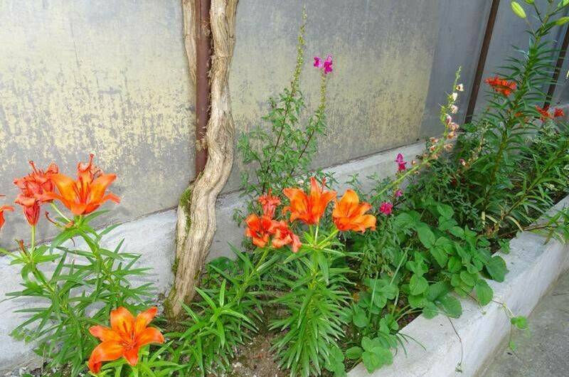 Изображение Изображение отеля / гостиницы "Гостевой дом у моря" #11 #9